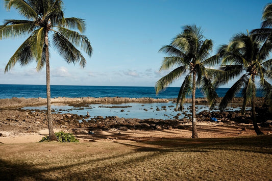 Oceanfront Studio at Shark's Cove #1 - Ocean Views