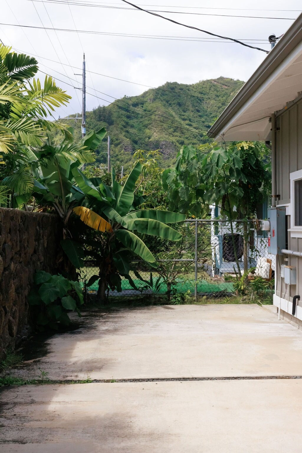Haleaha Road - Steps to the Beach in Hau'ula