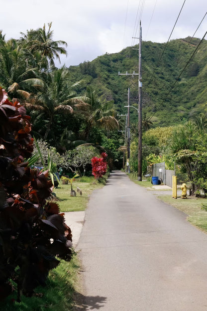 Haleaha Road - Steps to the Beach in Hau'ula
