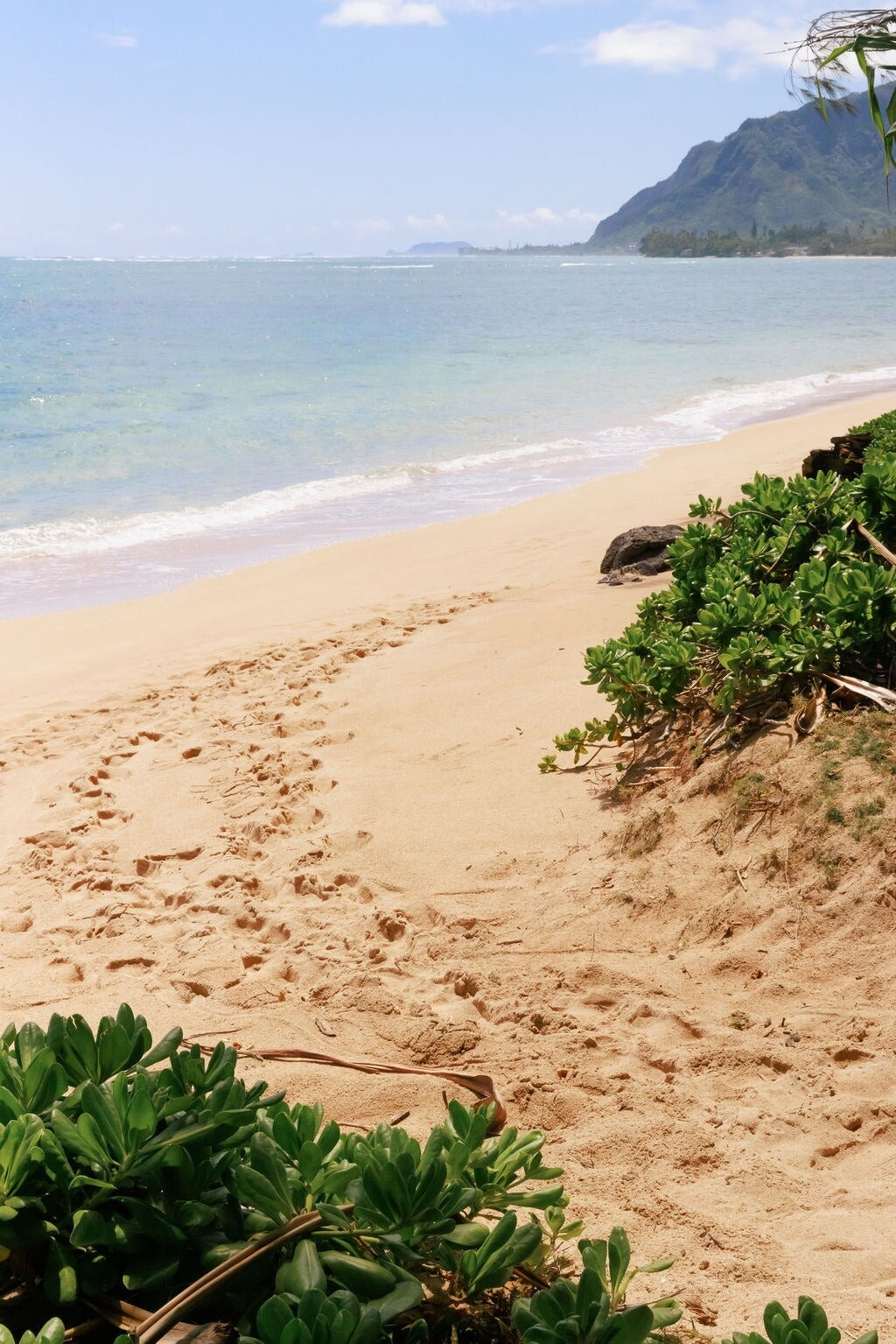 Haleaha Road - Steps to the Beach in Hau'ula