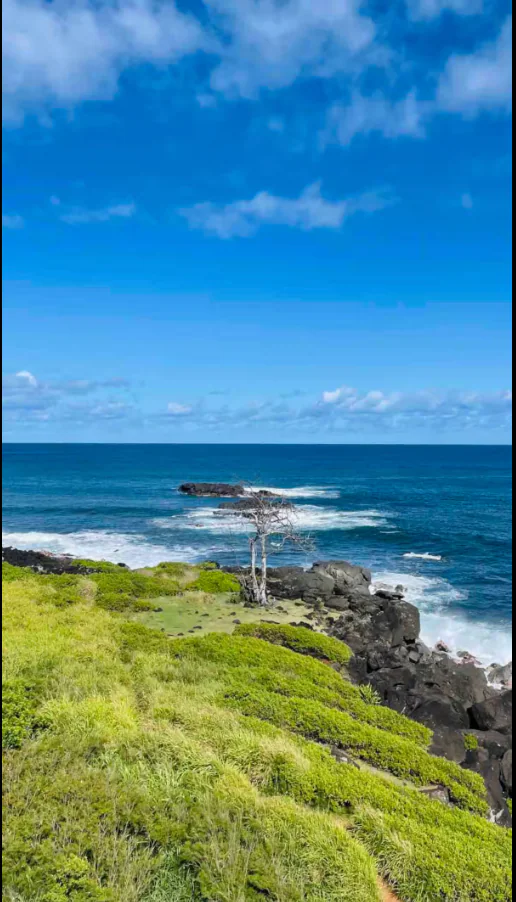 Waimea Bay Studio With Sauna - Walk to beach!