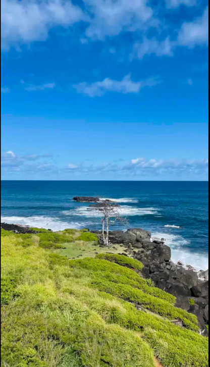 Waimea Bay Studio With Sauna - Walk to beach!