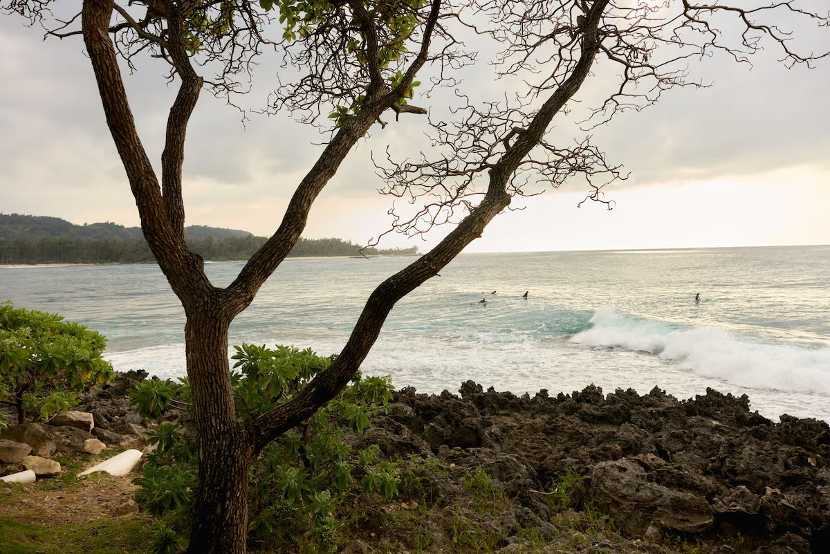 Aloha Surf Condo - Private Deck - Pool - E-Bikes