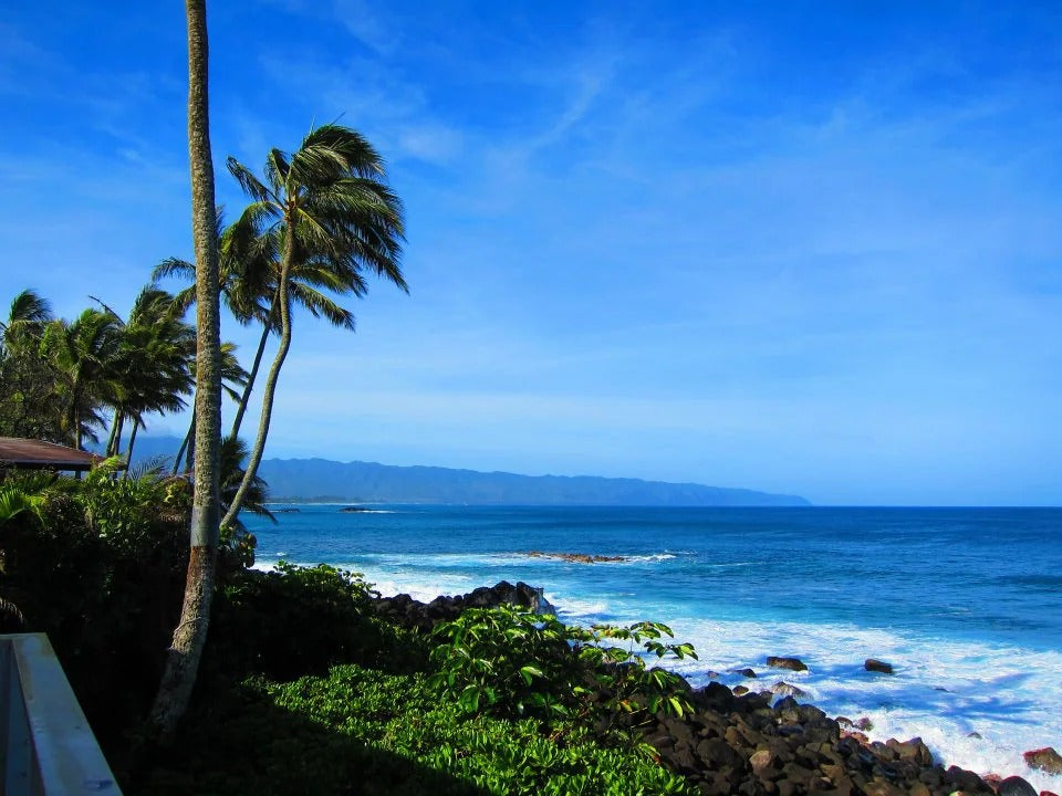Waimea Bay North Shore Ocean Front - with AC