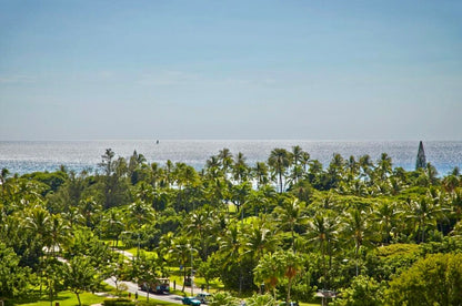 Ocean View Waikiki Studio Oasis-Balcony, Pool & AC