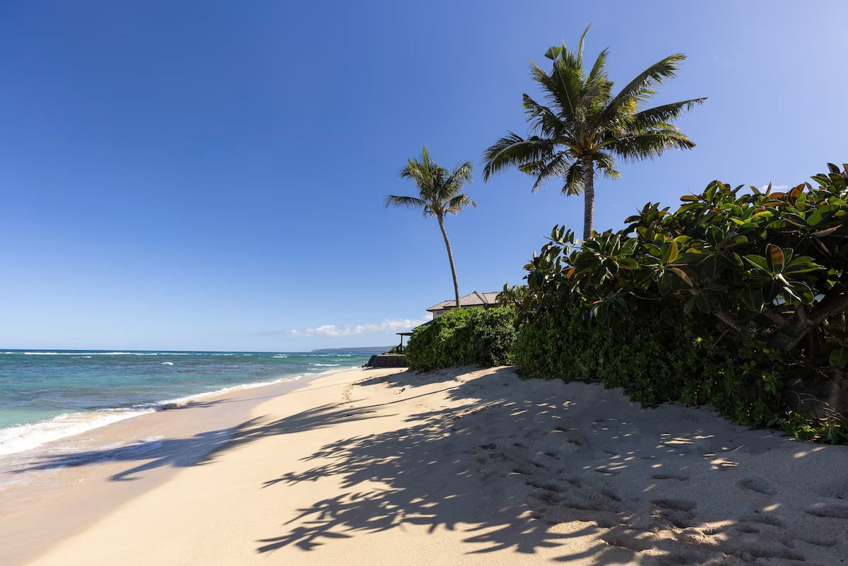 Laʻau Paina Beachfront Estate | House + Cottage