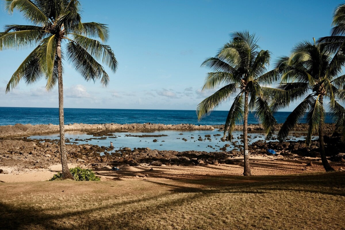 Oceanfront Studio at Shark's Cove #1 - Ocean Views
