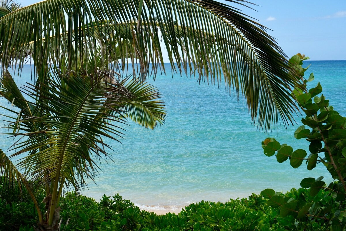 Ocean Views 2 Bedroom - 100 Foot Wave Getaways