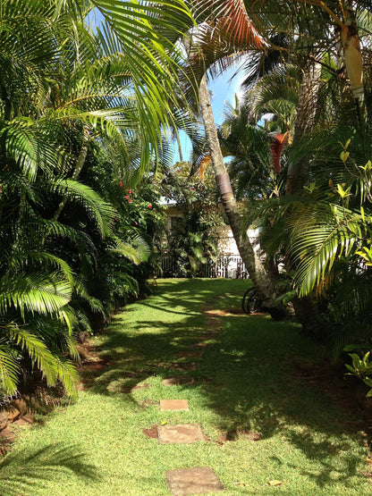 Waimea Bay North Shore Ocean Front - with AC