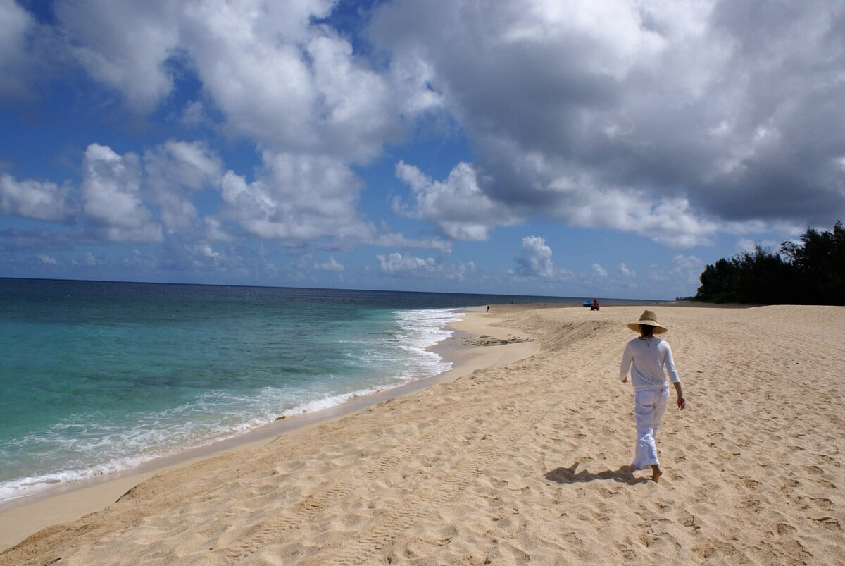 Waimea Bay North Shore Ocean Front - with AC
