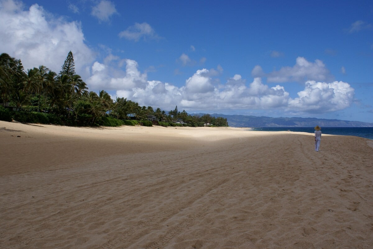 Waimea Bay North Shore Ocean Front - with AC