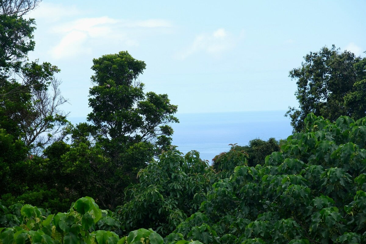 The Redwood 3 Bed in Pupukea - Ocean Views