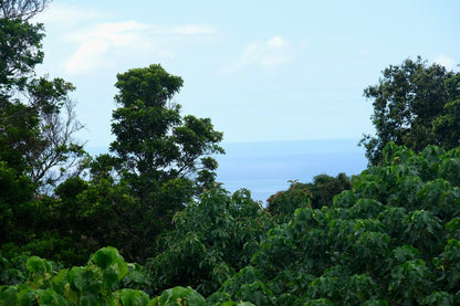 The Redwood 3 Bed in Pupukea - Ocean Views