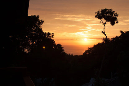 The Redwood 3 Bed in Pupukea - Ocean Views