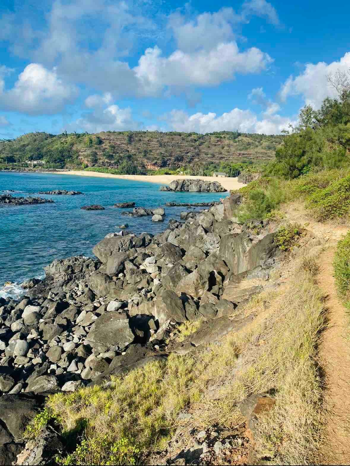 North shore Studio with sauna! - Walk to beach!