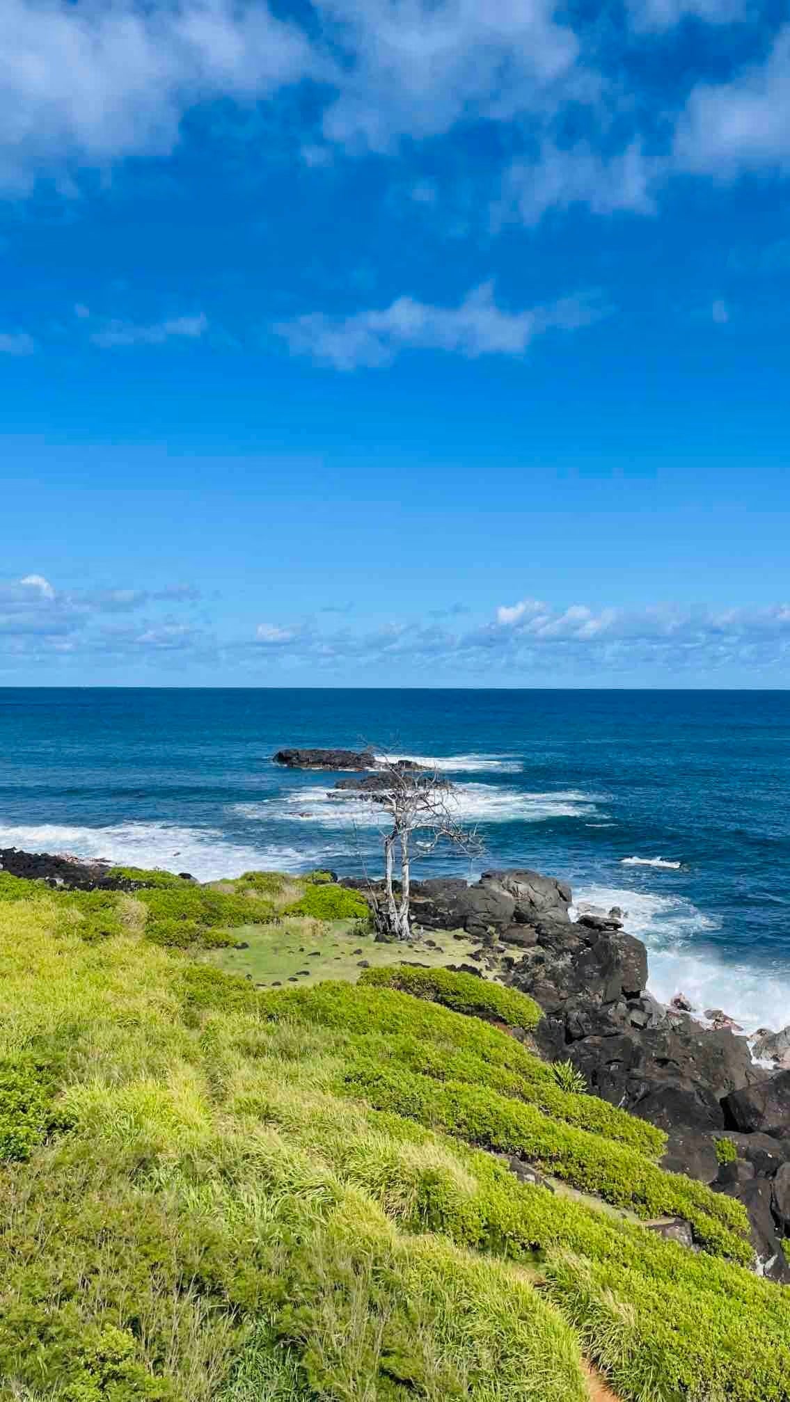 North shore Studio with sauna! - Walk to beach!