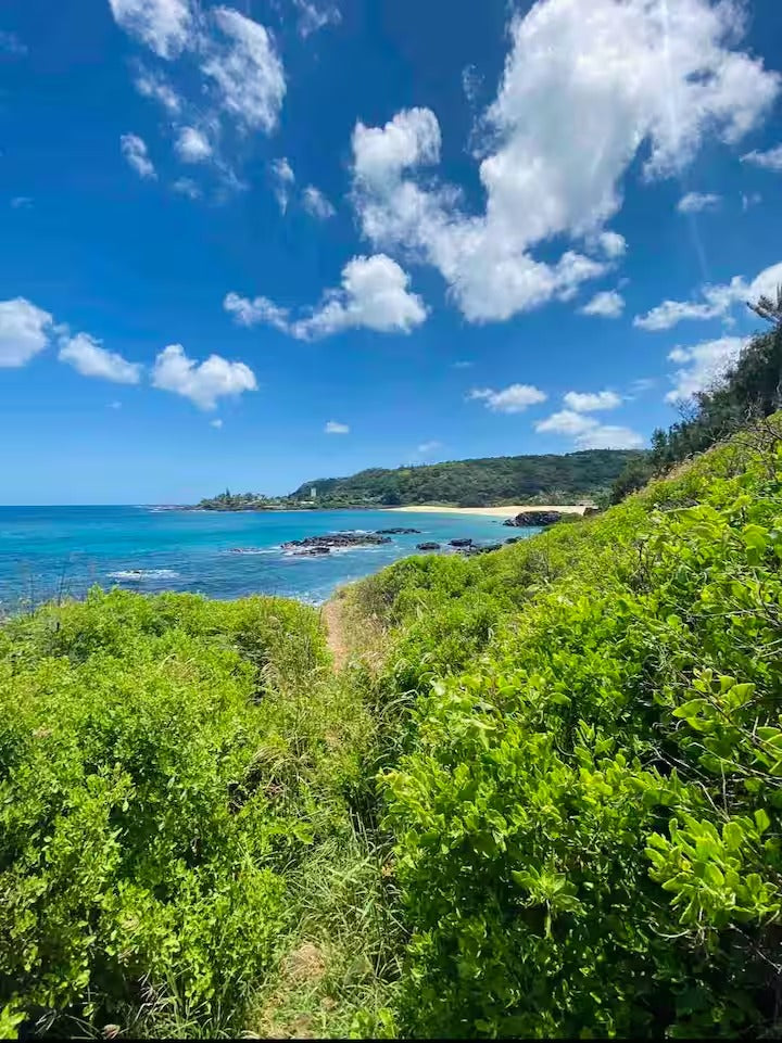 North shore Studio with sauna! - Walk to beach!