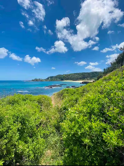 North shore Studio with sauna! - Walk to beach!