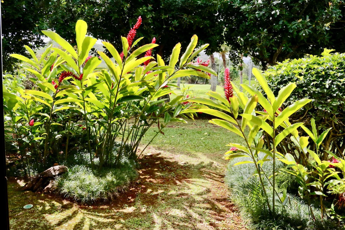 Turtle Bay Bungalow- Parking, AC & Walk to Beach
