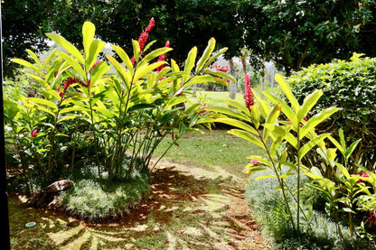 Turtle Bay Bungalow- Parking, AC & Walk to Beach