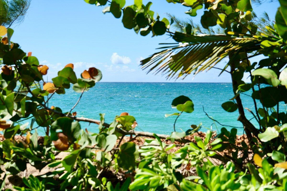 Oceanfront Studio - 100 Foot Wave Getaways