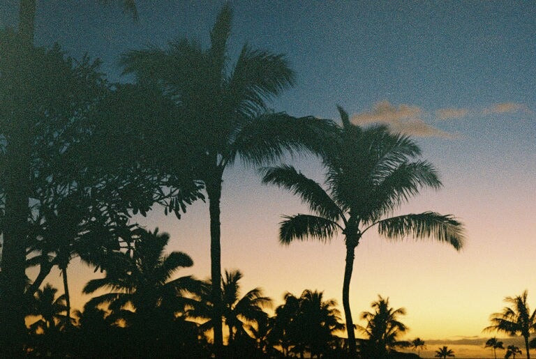 North Shore Beach Hale
