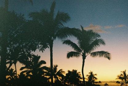 North Shore Beach Hale