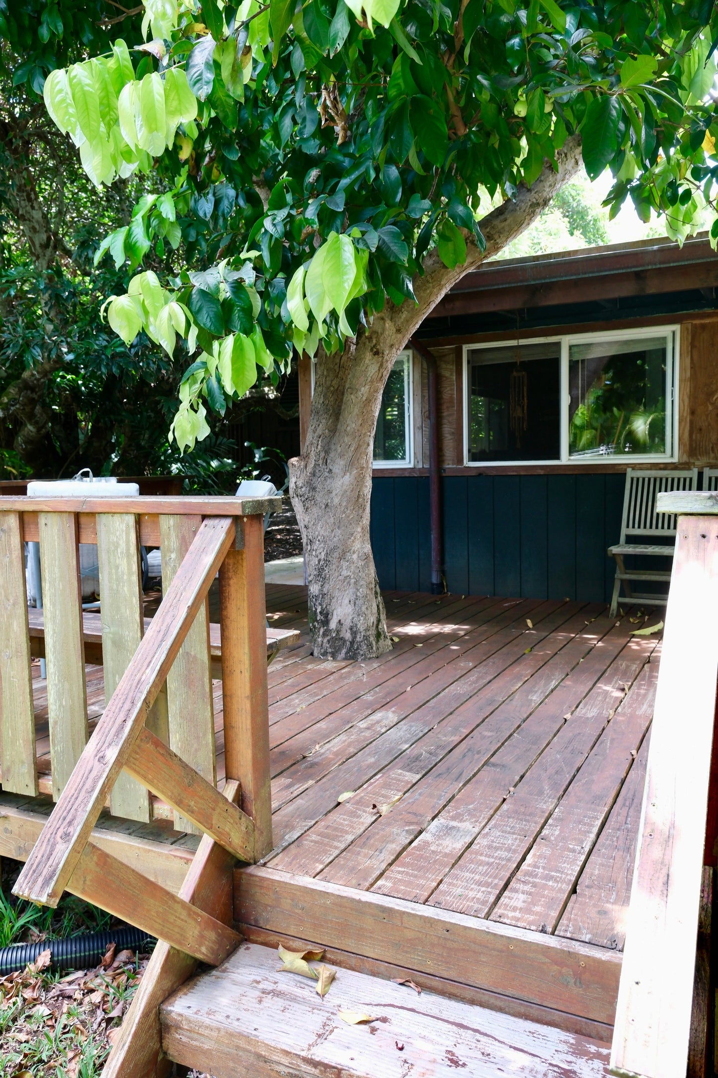Ohi' a 'ai Cabin - The Mountain Apple Cabin