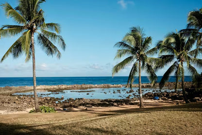 Oceanfront Studio at Shark's Cove #2 - Ocean Views