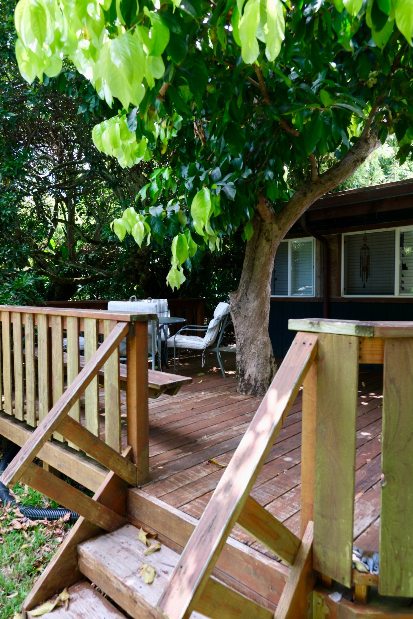 Ohi' a 'ai Cabin - The Mountain Apple Cabin