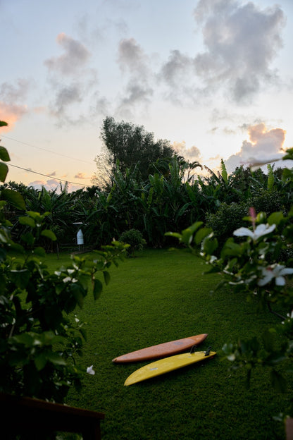 The Cedar House - Private Yard and Entrance!