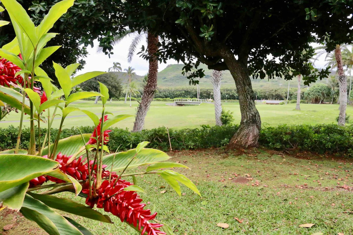 Turtle Bay Bungalow- Parking, AC & Walk to Beach