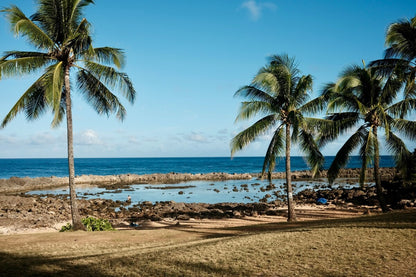 Oceanfront Studio at Shark's Cove #4- Partial Views