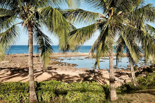 Oceanfront Studio at Shark's Cove #4- Partial Views
