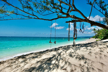 Oceanfront Studio - 100 Foot Wave Getaways