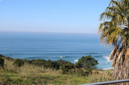 Enjoy 100ft Wave from Bed