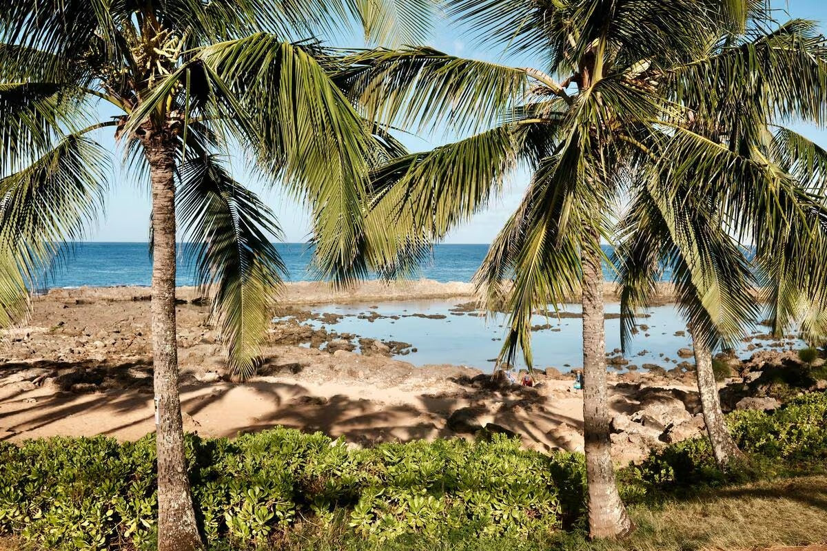 Oceanfront Studio at Shark's Cove #1 - Ocean Views