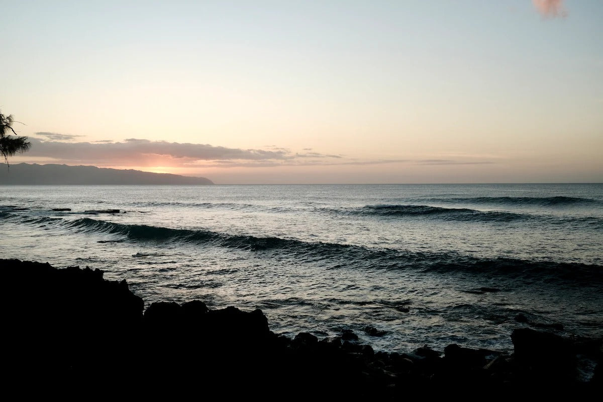 The Sharks Cove House - Stunning Ocean Views!