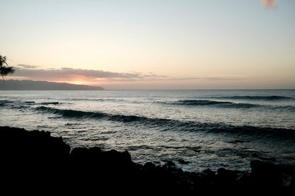 The Sharks Cove House - Stunning Ocean Views!