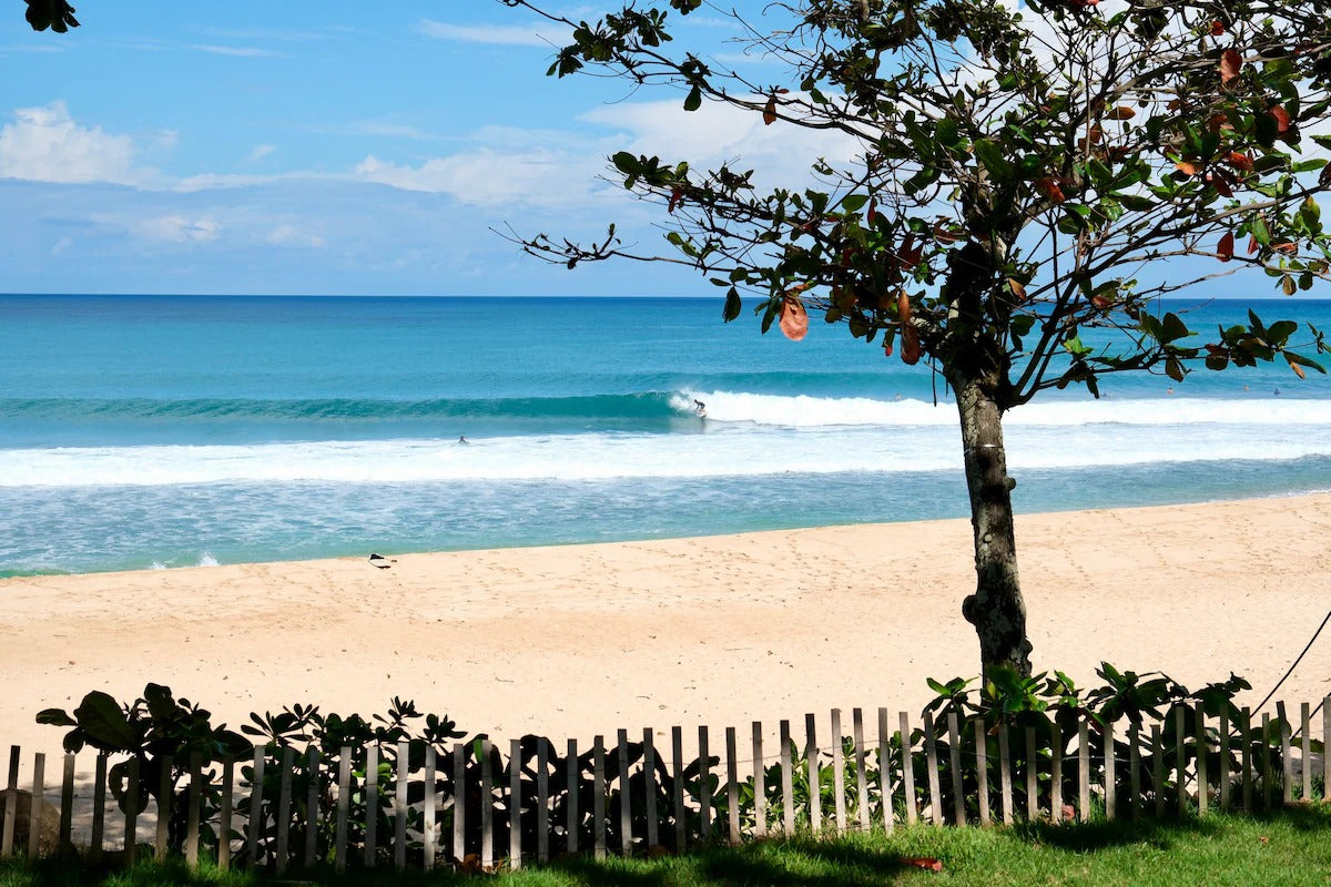 Rocky Point Surf House - Ocean Front