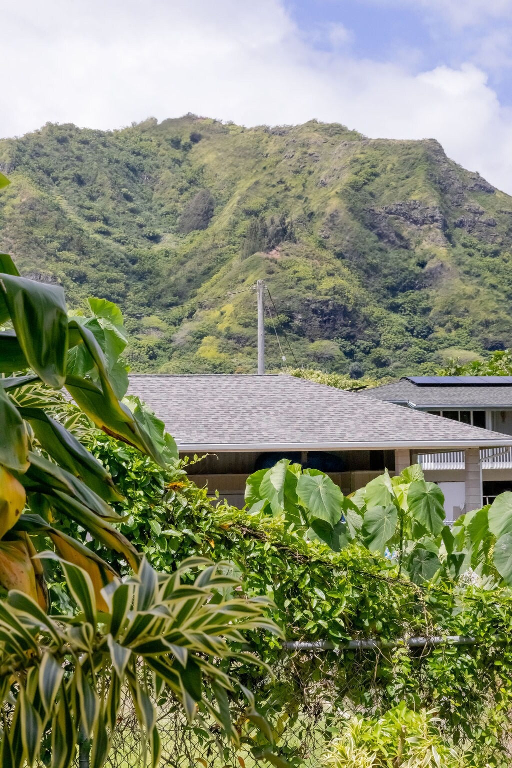 Haleaha Road - Steps to the Beach in Hau'ula