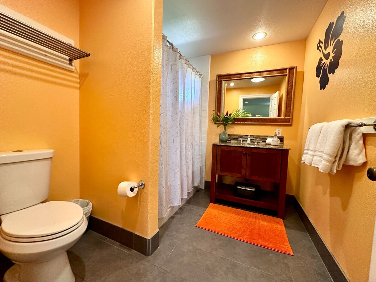 Country Studio Apartment