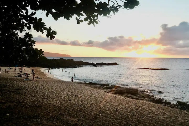 Oceanfront Studio at Shark's Cove #2 - Ocean Views
