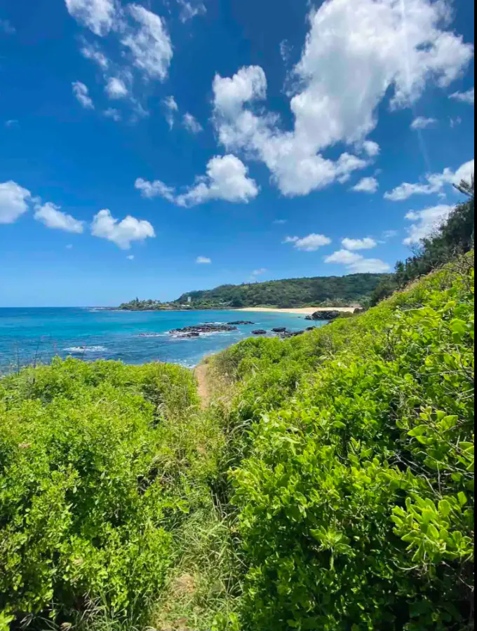 Waimea Bay Studio With Sauna - Walk to beach!
